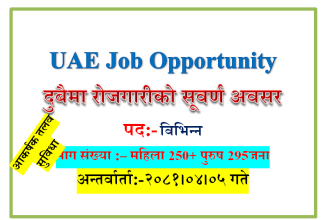 foreign job new