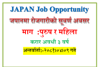 foeriegn job japan
