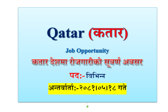 Foreign job Qatar 1