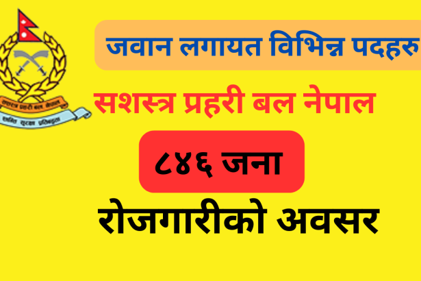 APF New Vacancy 2082