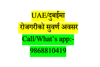 Foreign Job Opportunity in UAE