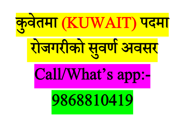 job Kuwait